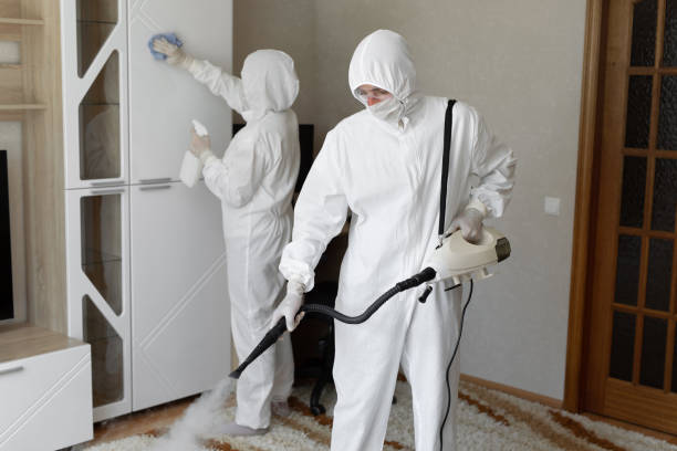 Best Post-Flood Mold Remediation in Cricket, NC